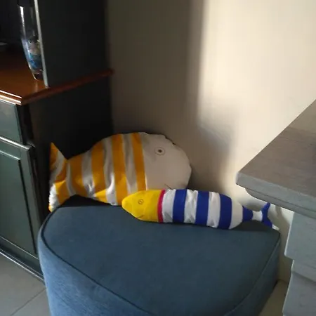 Rua 5 House Gafanha da Vagueira